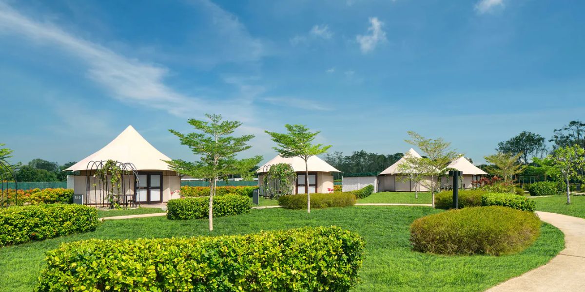 natra bintan 1200 x 600 2