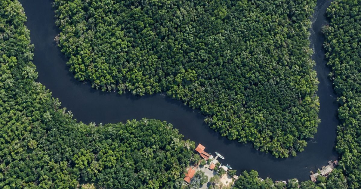 Sebung River Aerial View 1200 x 628