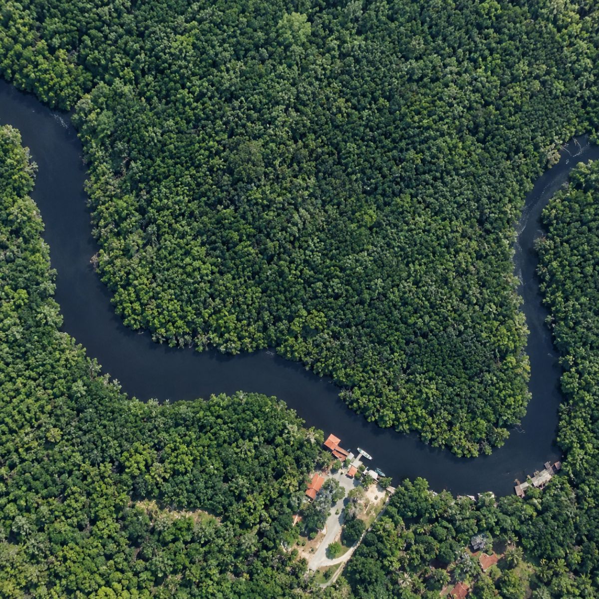 Sebung River Aerial View