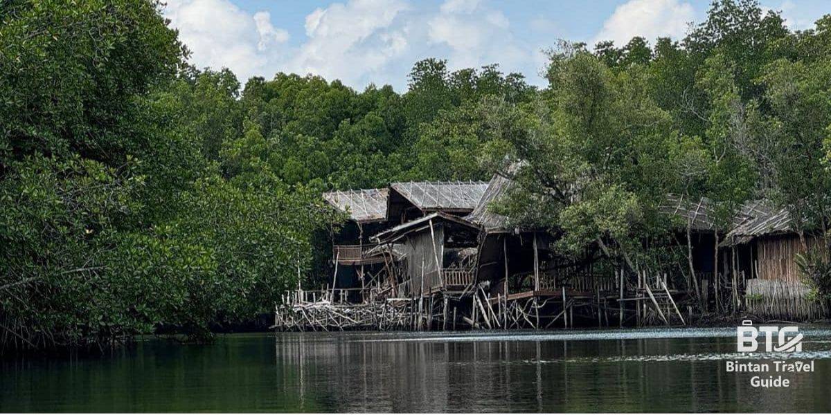 3. Bintan Mangrove 1200 x 600