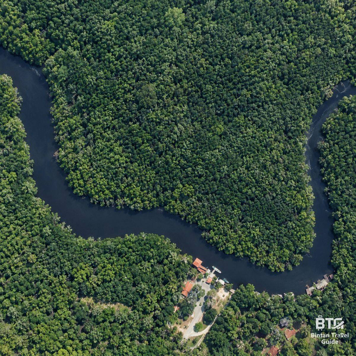 Sebung River Aerial View