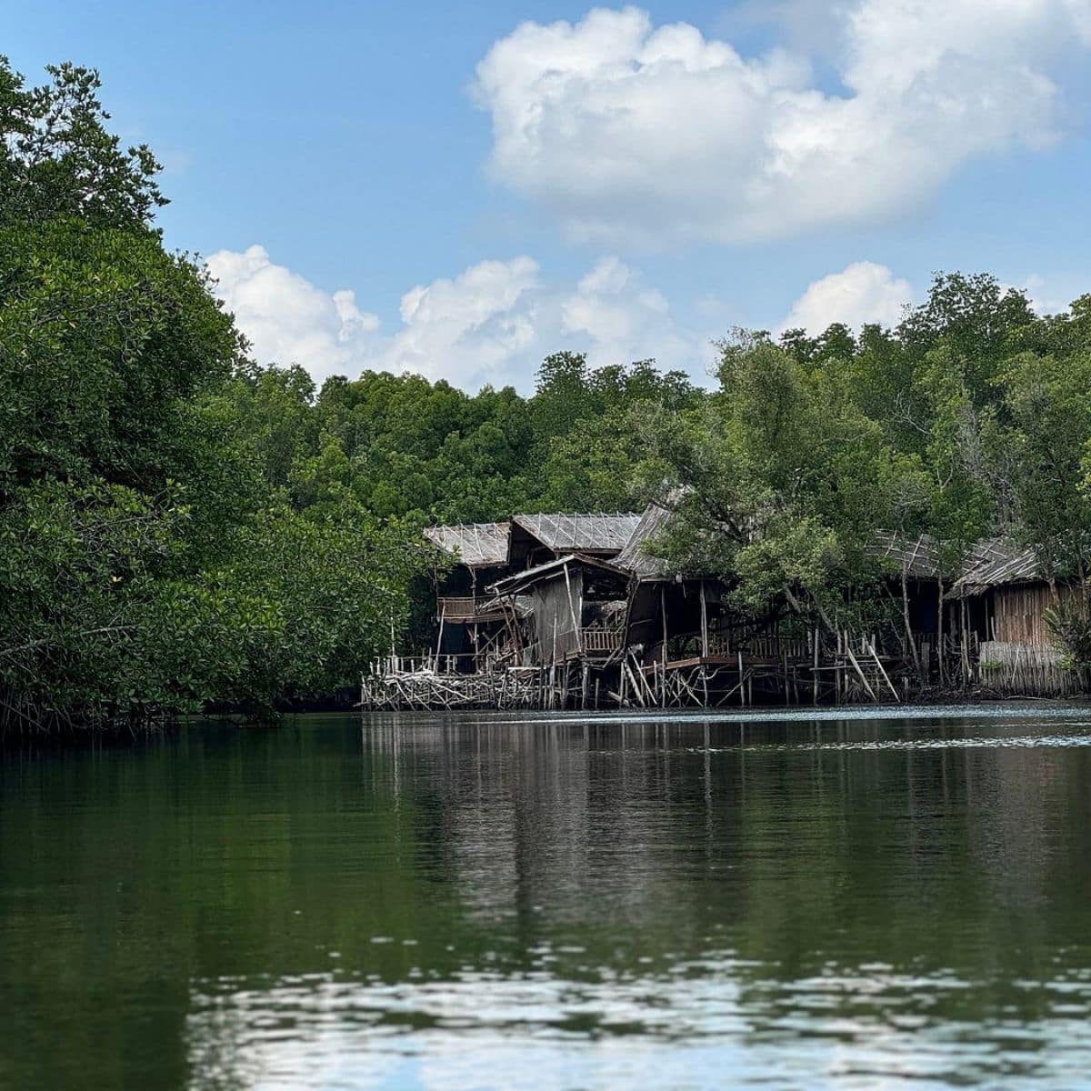 Bintan Mangrove Discovery Tour