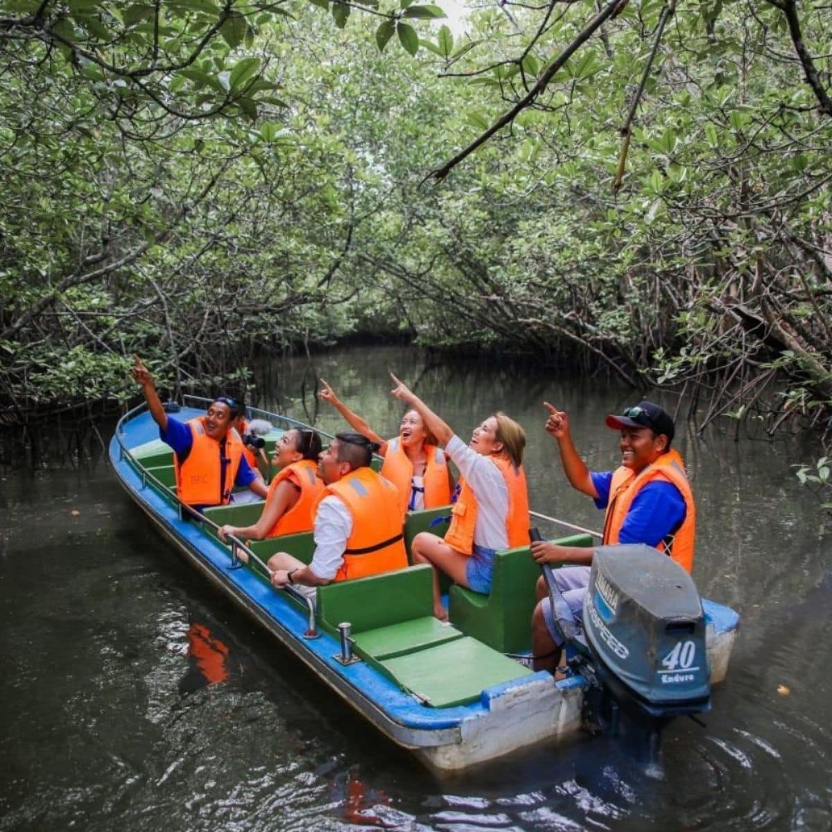 Bintan Mangrove