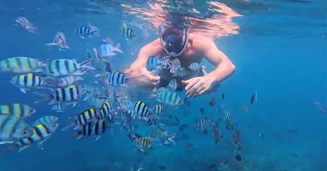 Bintan Tailormade Trip Snorkeling