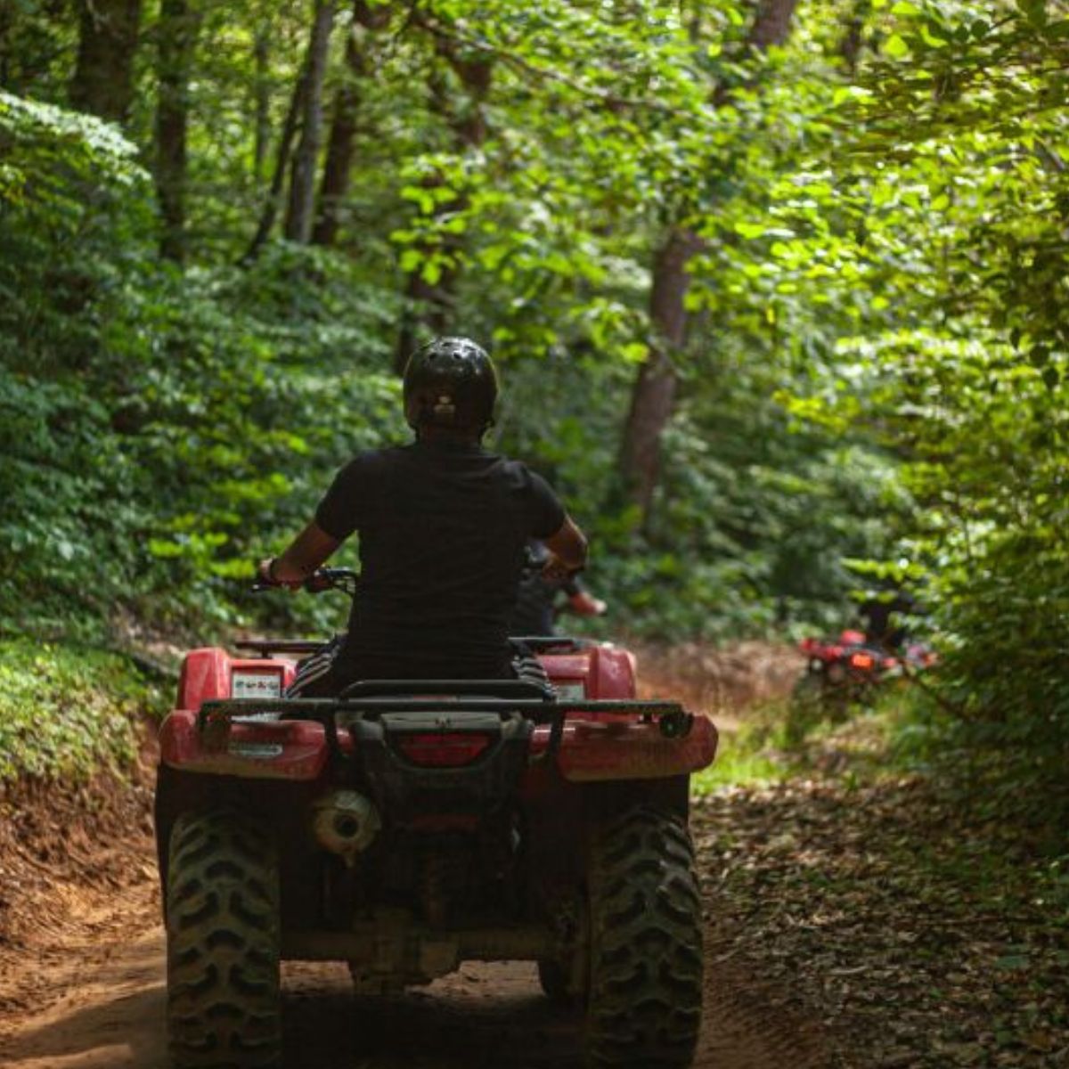 Best Bintan ATV