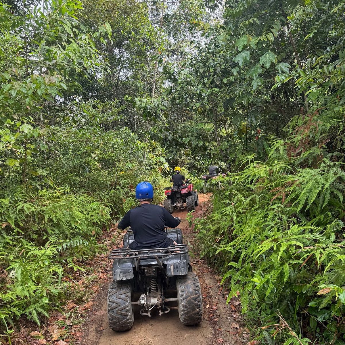 Bintan ATV ride off road trail