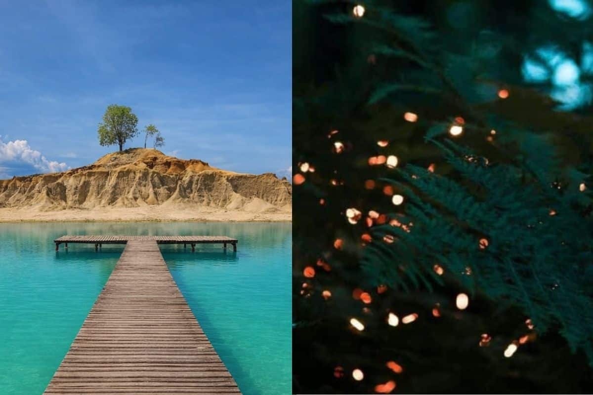 Blue Lake Sand Dunes Tour & See Fireflies Tour