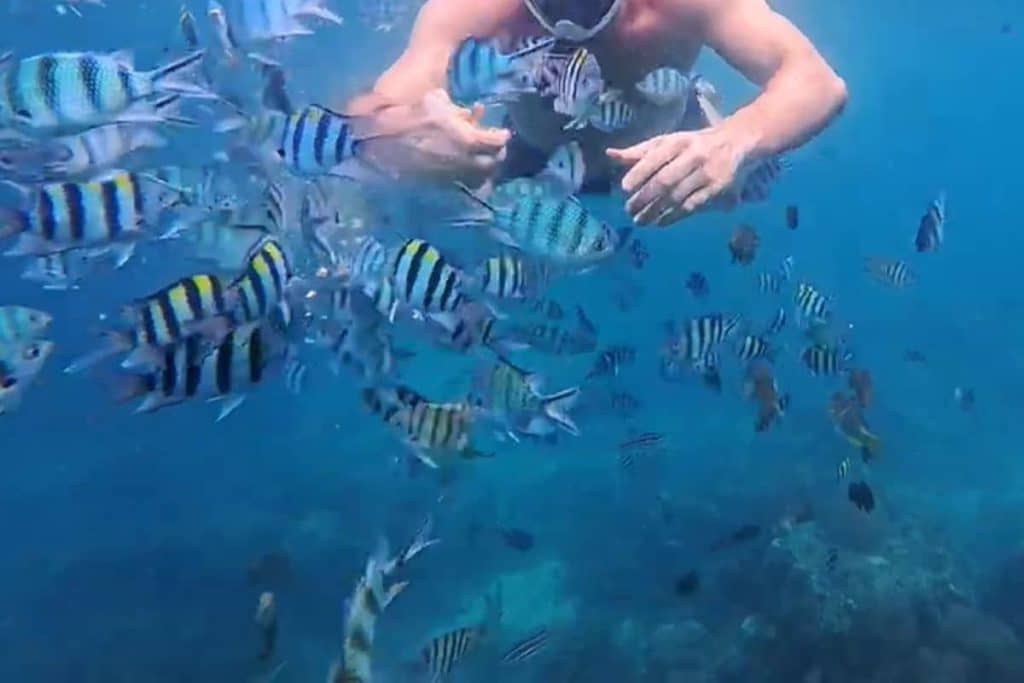 Snorkeling tour in Bintan on the east coast with clear blue water