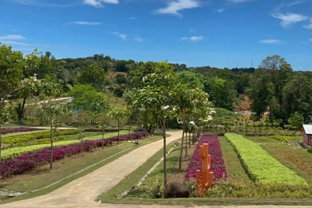 Walking path inside Safari Lagoi Bintan surrounded by greenery
