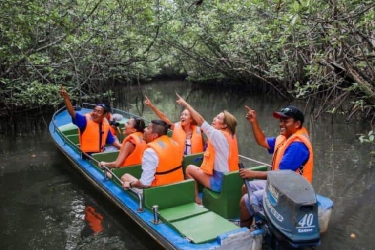 Wildlife spotting during mangrove tour in Bintan with monkeys and birds