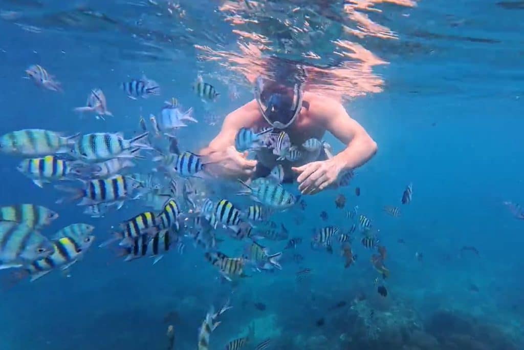 Bintan Day Trip - Snorkeling Tour