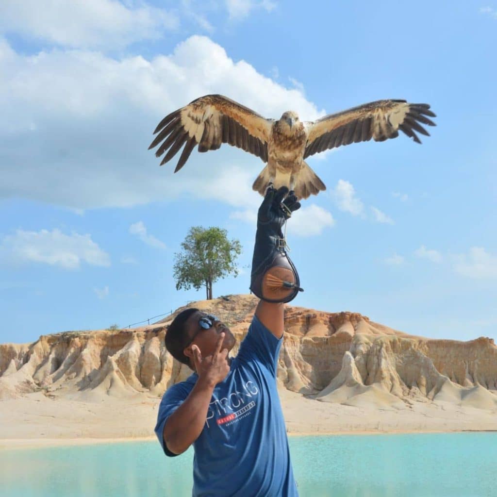 Visitor posing with eagle at Blue Lake Bintan scenic viewpoint