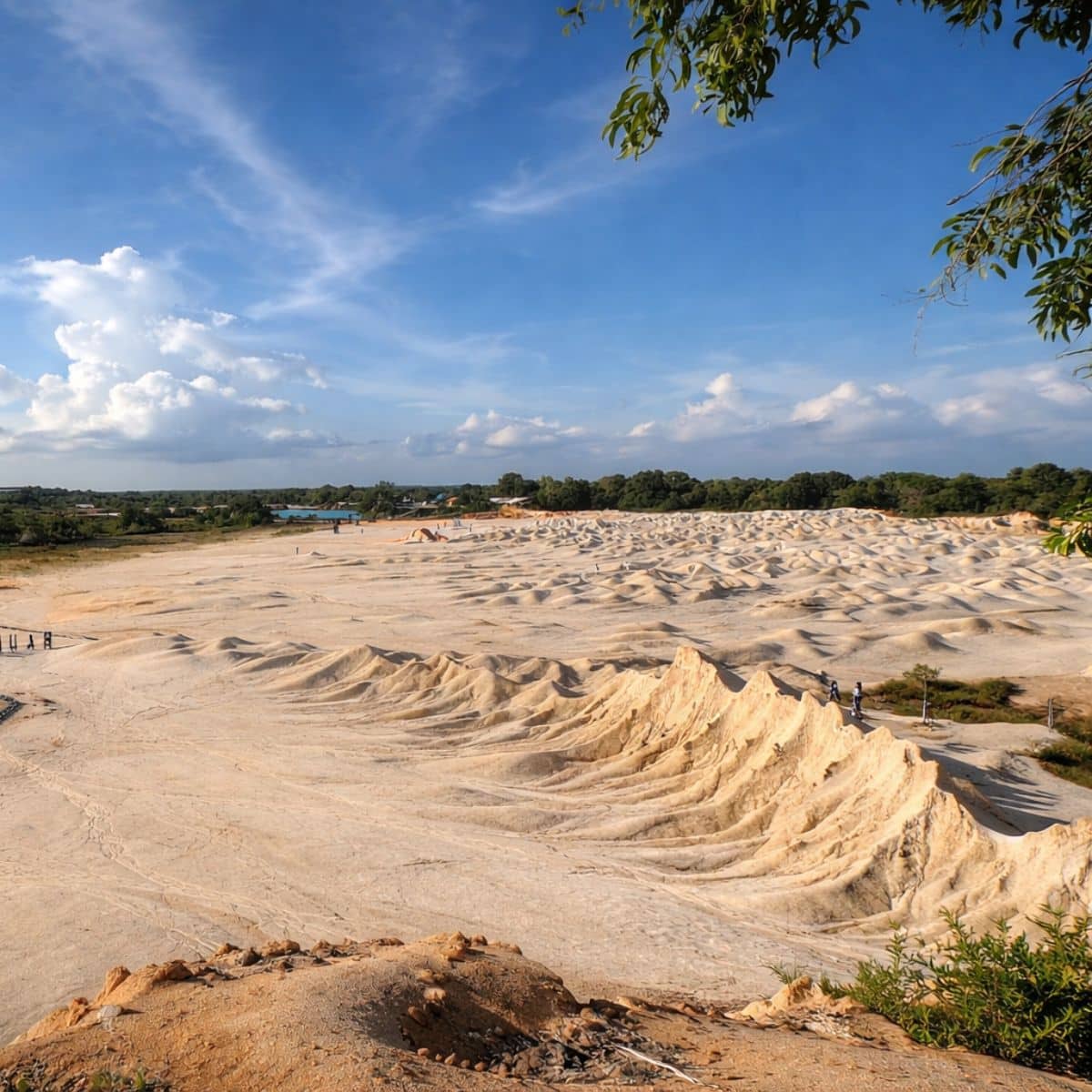 Bintan Sand Dunes desert-like landscape with rolling sand hills
