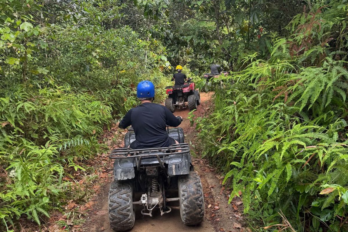 ATV riding on dirt track in Bintan plantation area from rear view