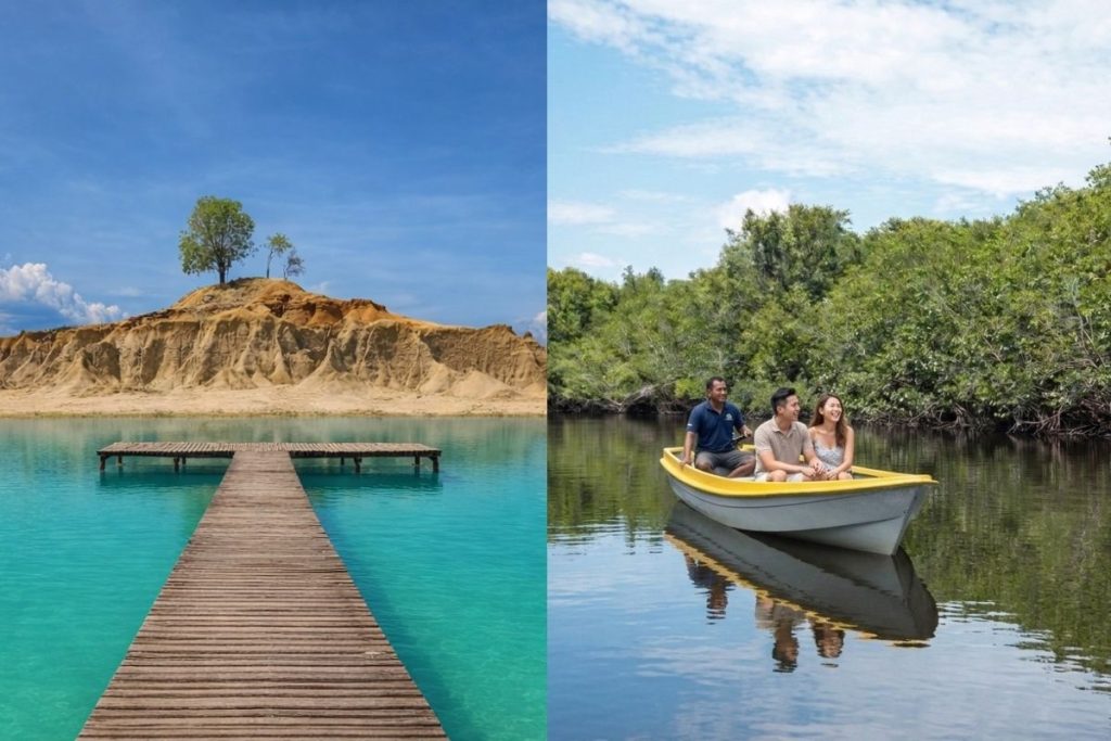 Mangrove forest tour in Bintan combined with Blue Lake visit