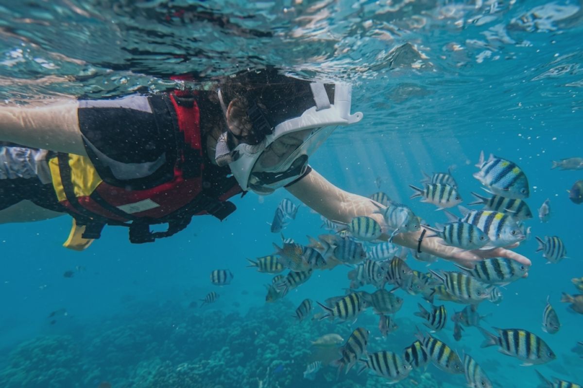 Coastal tour in East Bintan with snorkeling and kelong experience