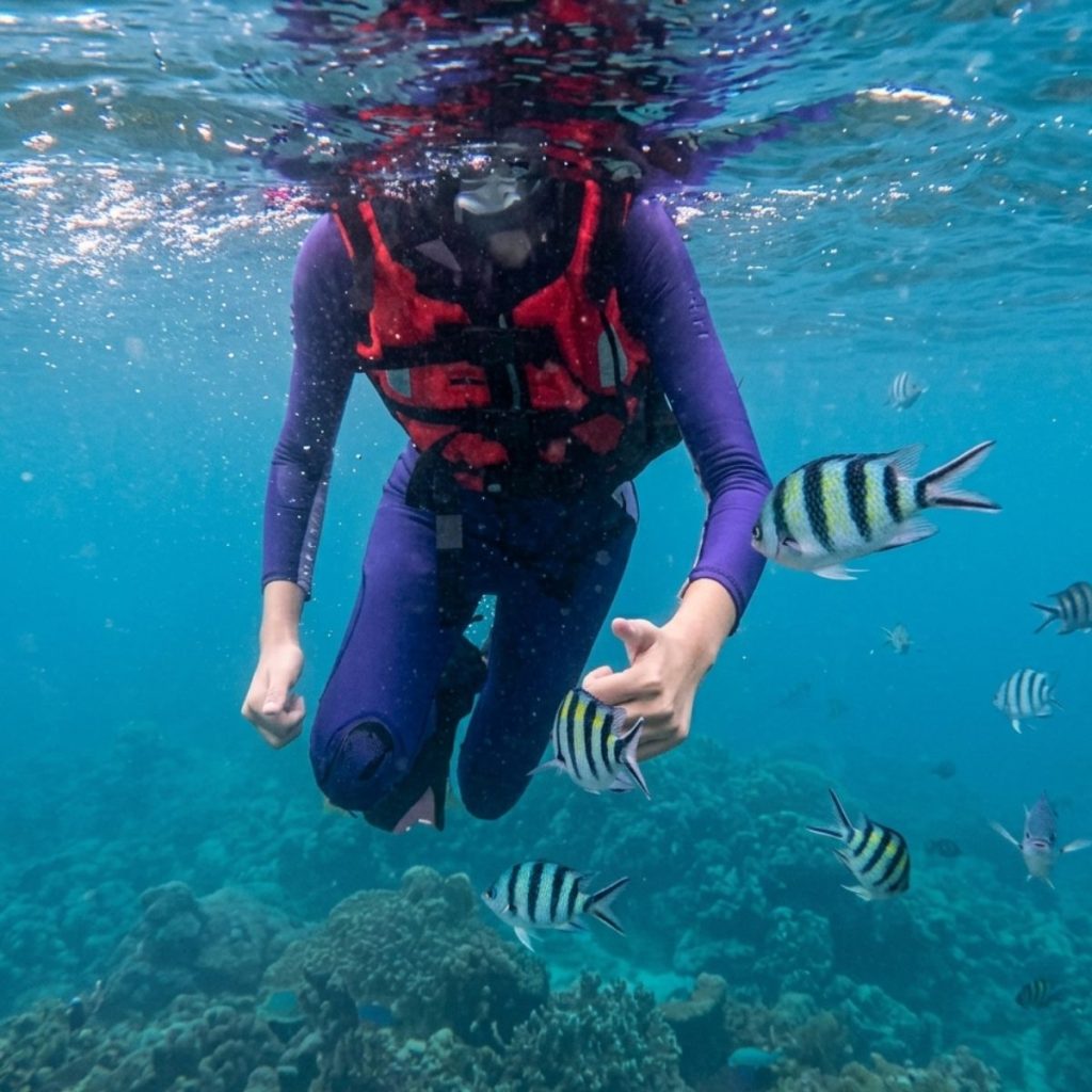 Snorkeling near kelong in East Bintan