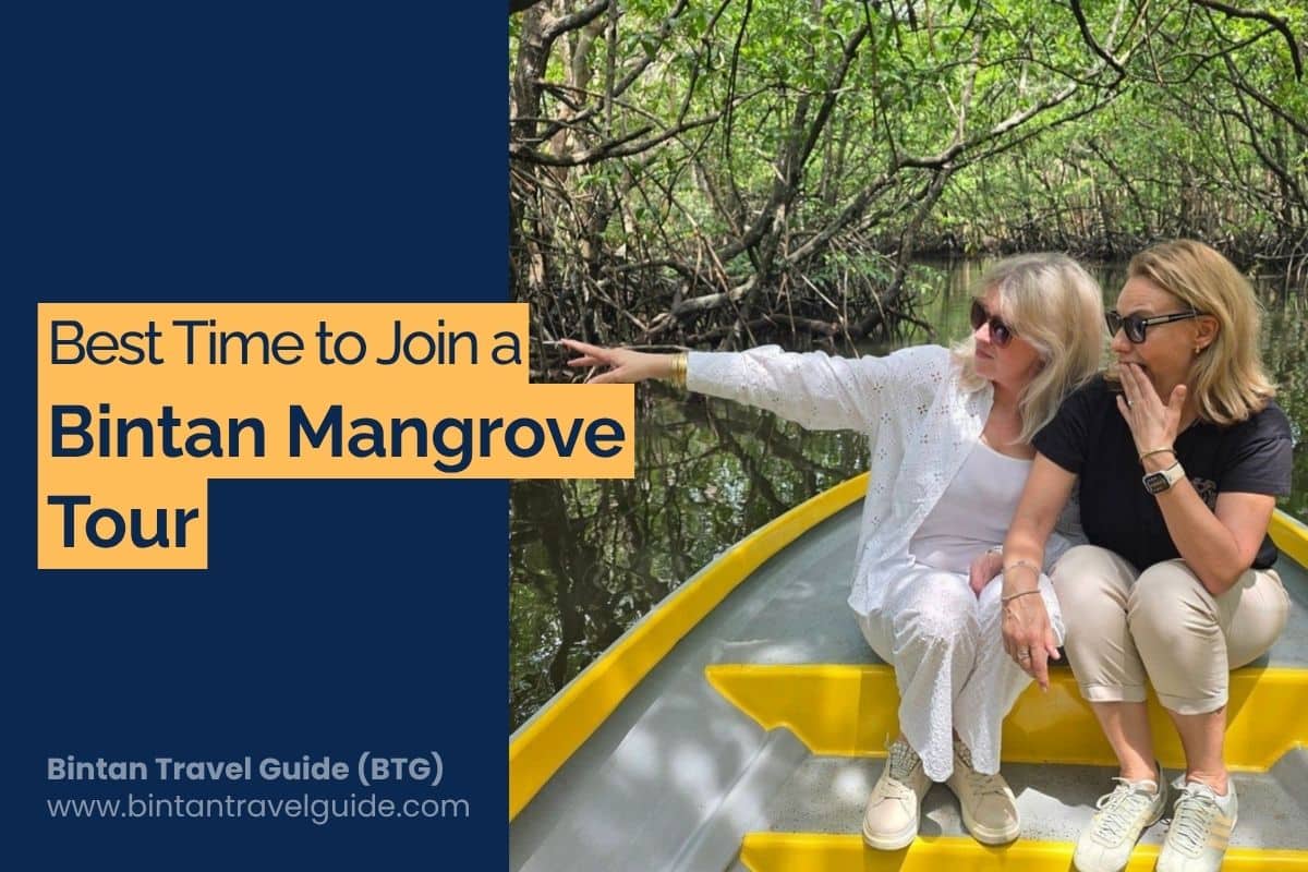 Best Time to Join Bintan Mangrove Tour