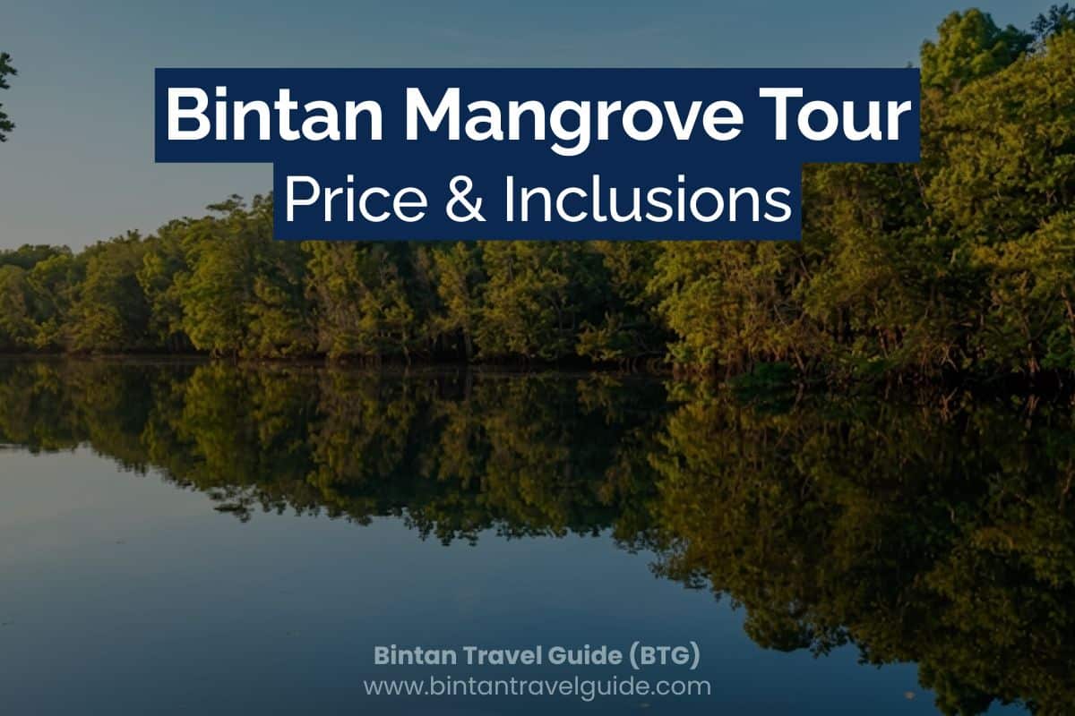Bintan Mangrove Tour Price & Inclusions