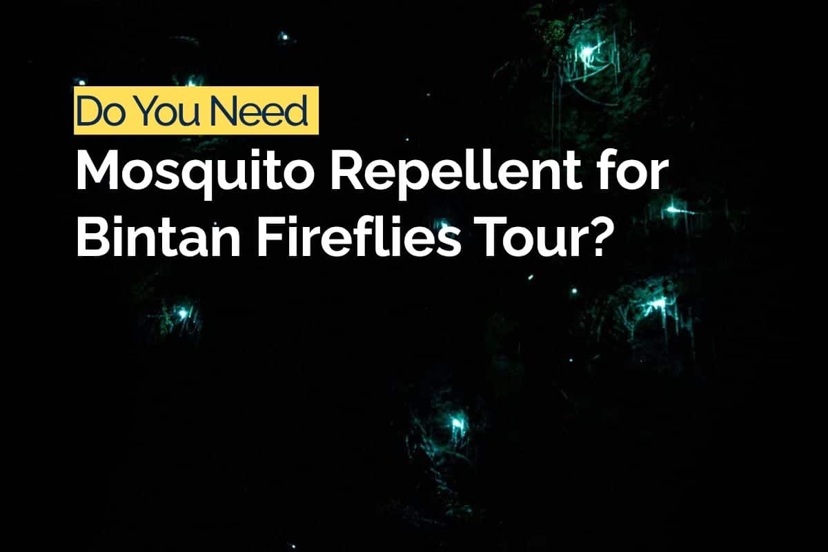 Do You Need Mosquito Repellent for Bintan Fireflies Tour