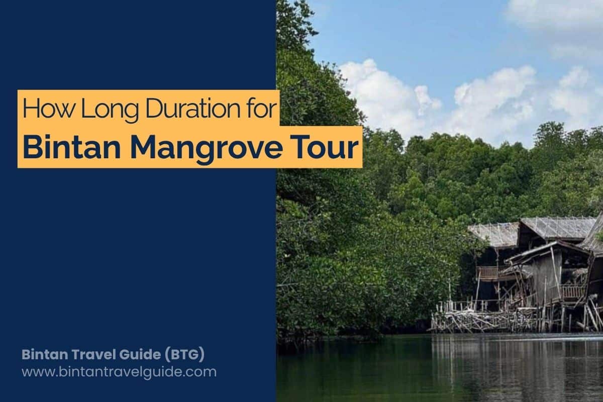 How Long Duration for Bintan Mangrove Tour