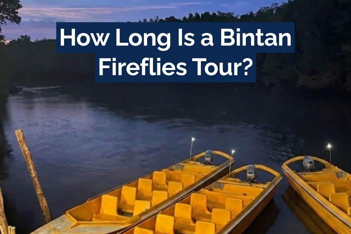 How Long Is a Bintan Fireflies Tour