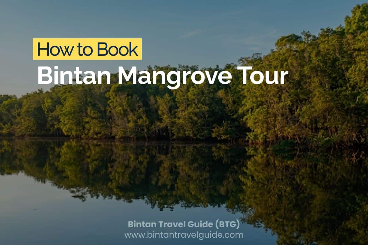 How to Book Bintan Mangrove Tour