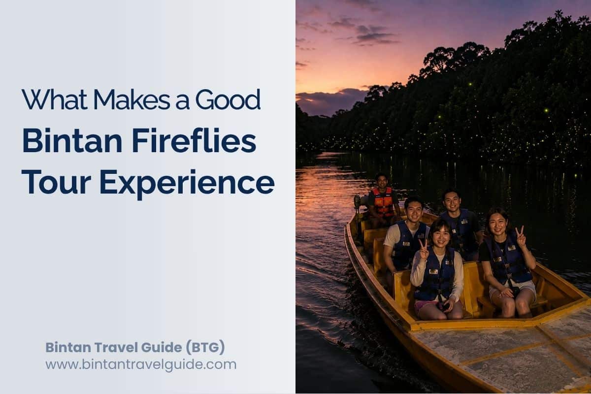 What Makes a Good Bintan Fireflies Tour Experience