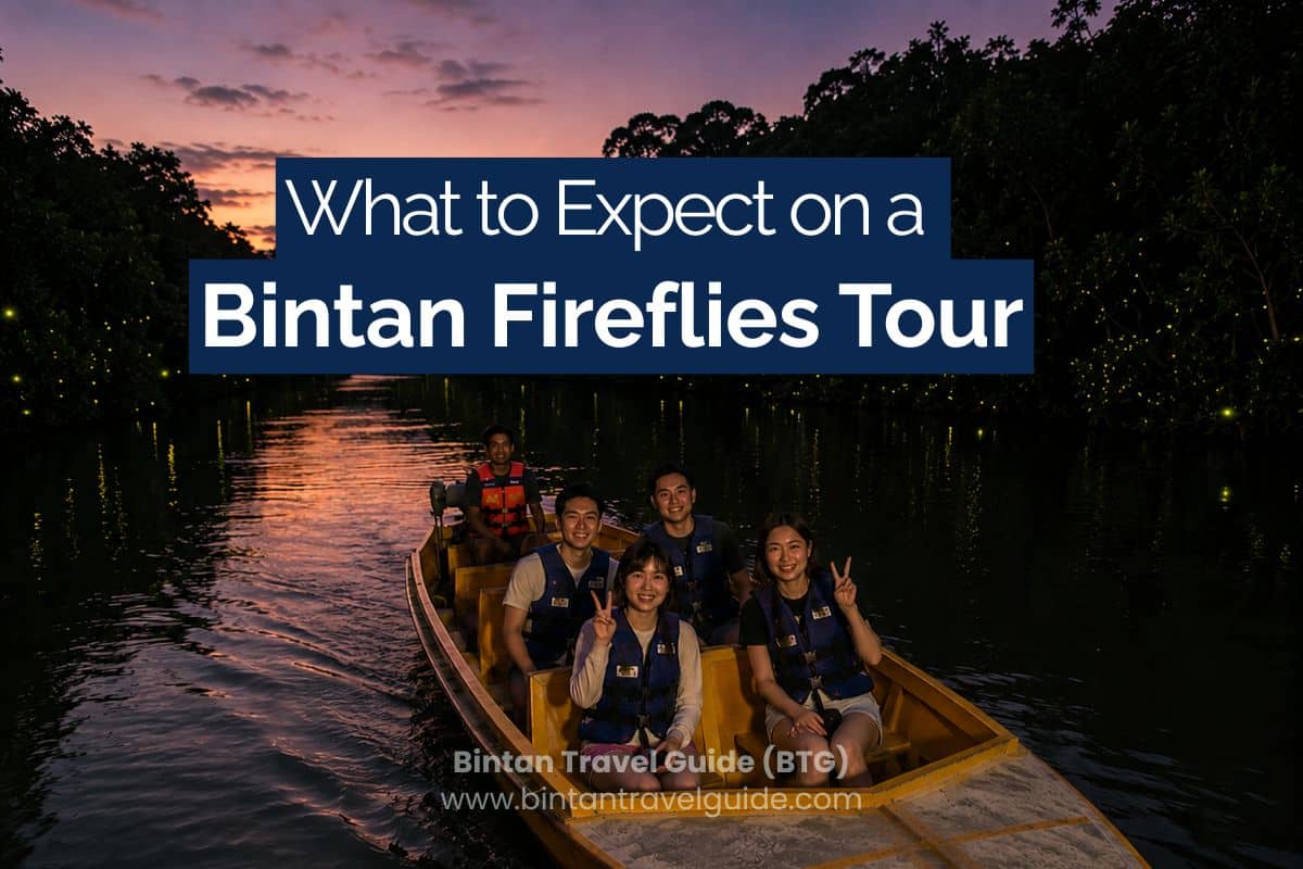 What to Expect on a Bintan Fireflies Tour