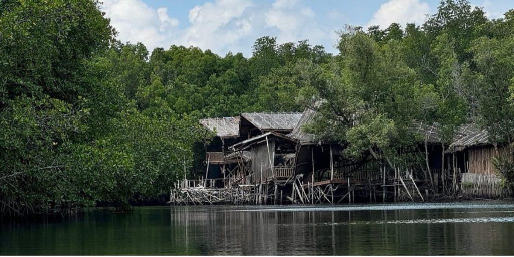 3. Bintan Mangrove 1200 x 600