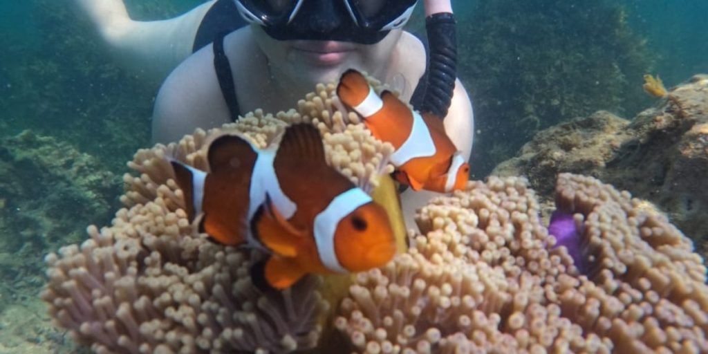 8. Bintan Snorkeling 1200 x 600