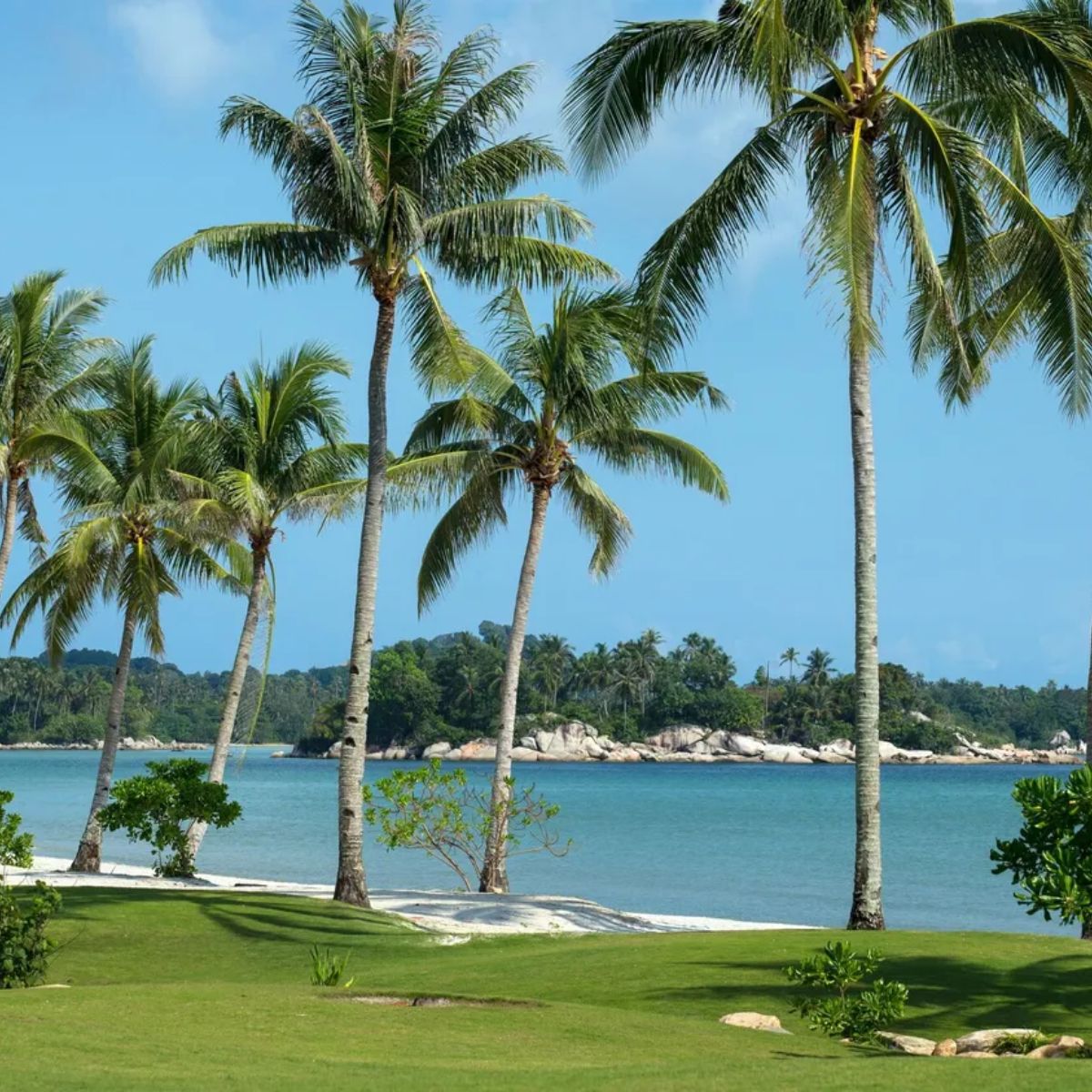 Grand Lagoi Hotel Bintan 5