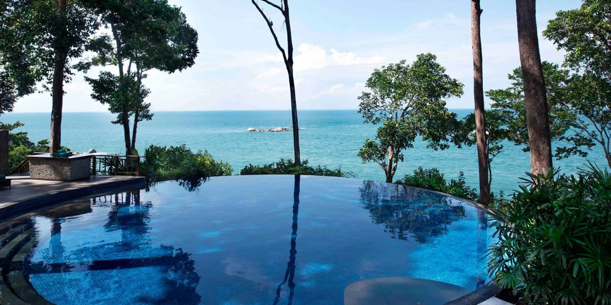 banyan tree 1200 x 600 8