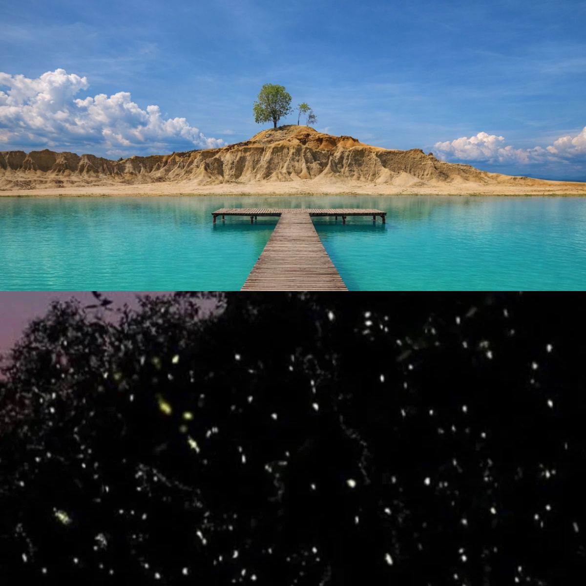 Blue Lake & Fireflies 1200 x 1200