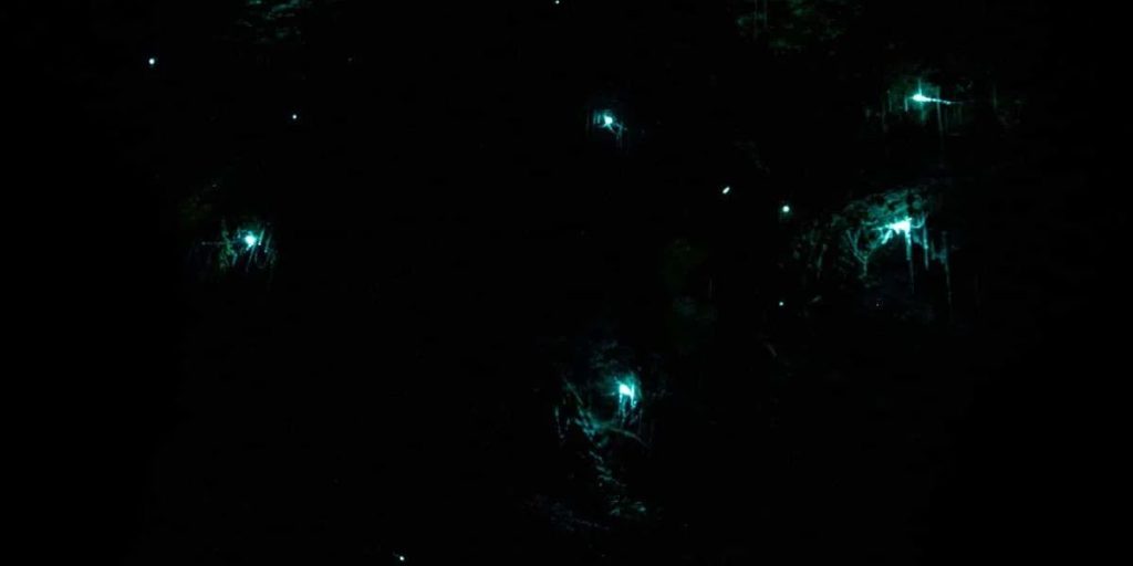 Does Moonlight Affect Visibility of Fireflies in Bintan?