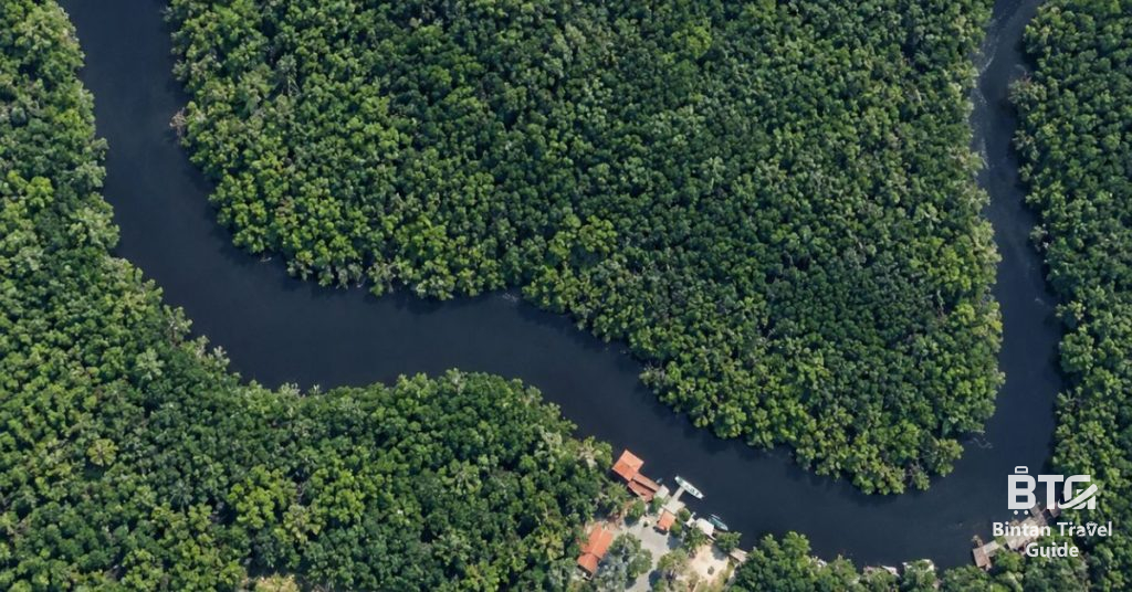 Sebung River Aerial View 1200 x 628