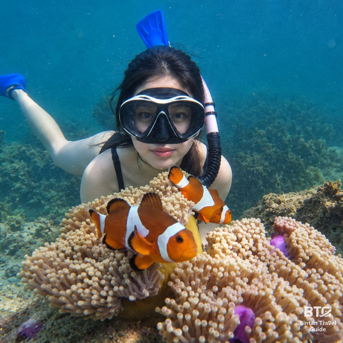 Bintan Snorkeling Tour with Bintan Travel Guide (BTG)
