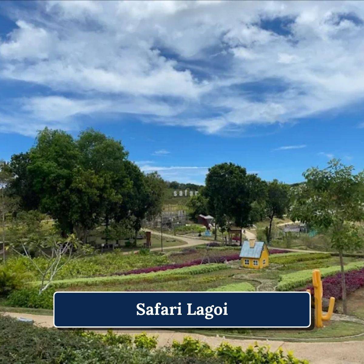 7 Safari Lagoi 1200 x 1200