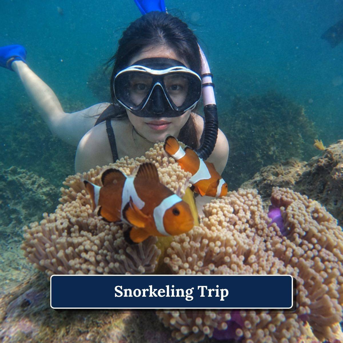 3 Snorkeling Trip 1200 x 1200