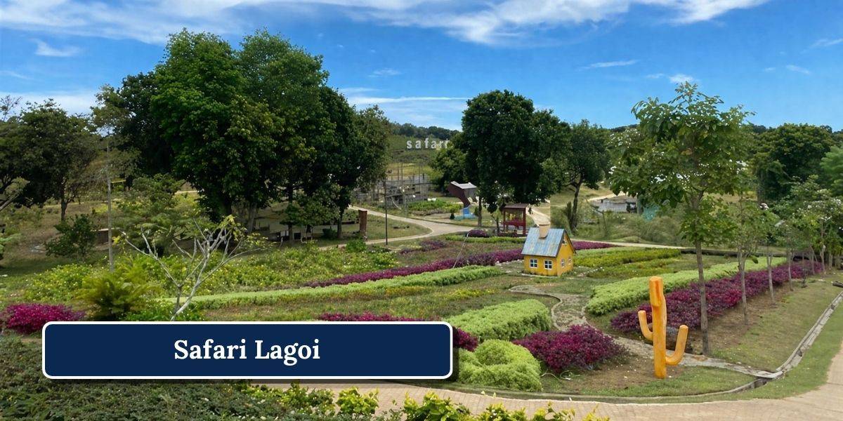 7 Safari Lagoi