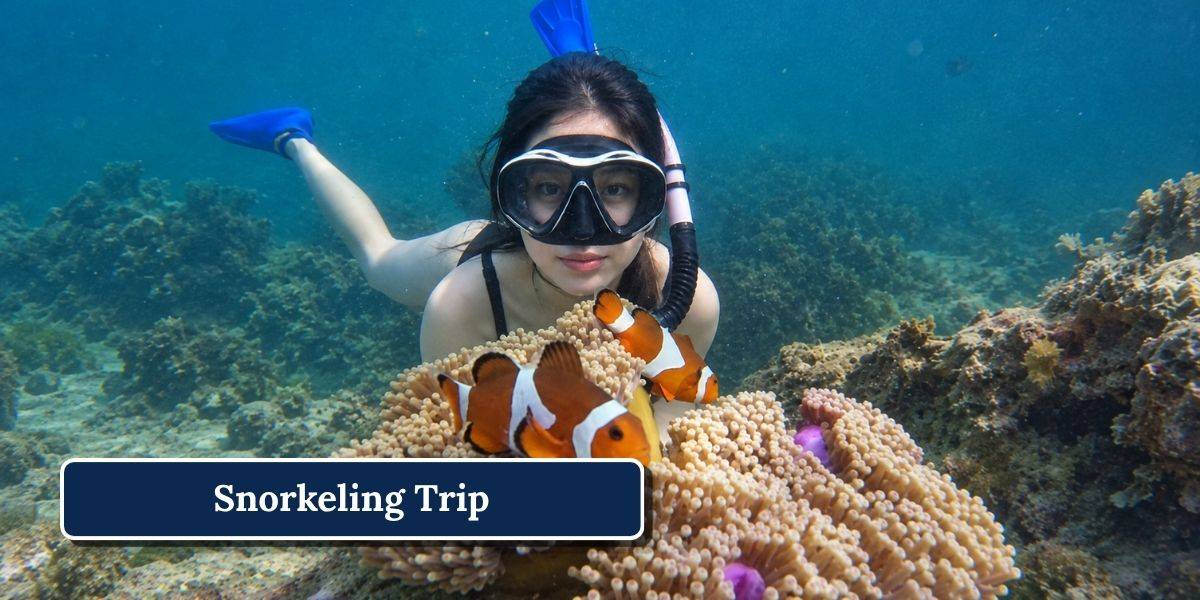 3 Snorkeling Trip